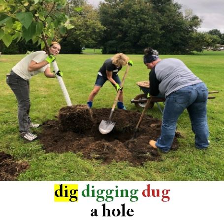 Dig2